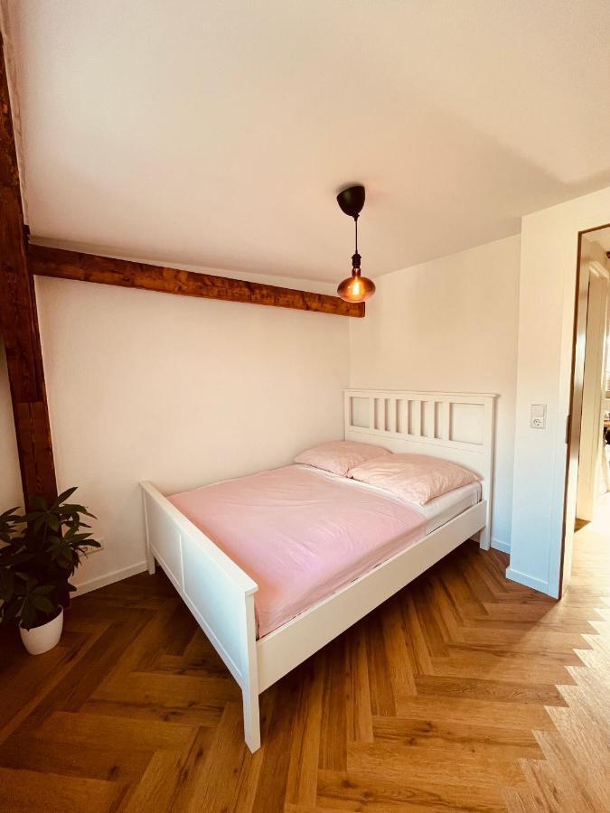 Jugendstil-Altbauwohnung Mit Dachterrasse Direkt An Der Karlsaue Kassel Kültér fotó